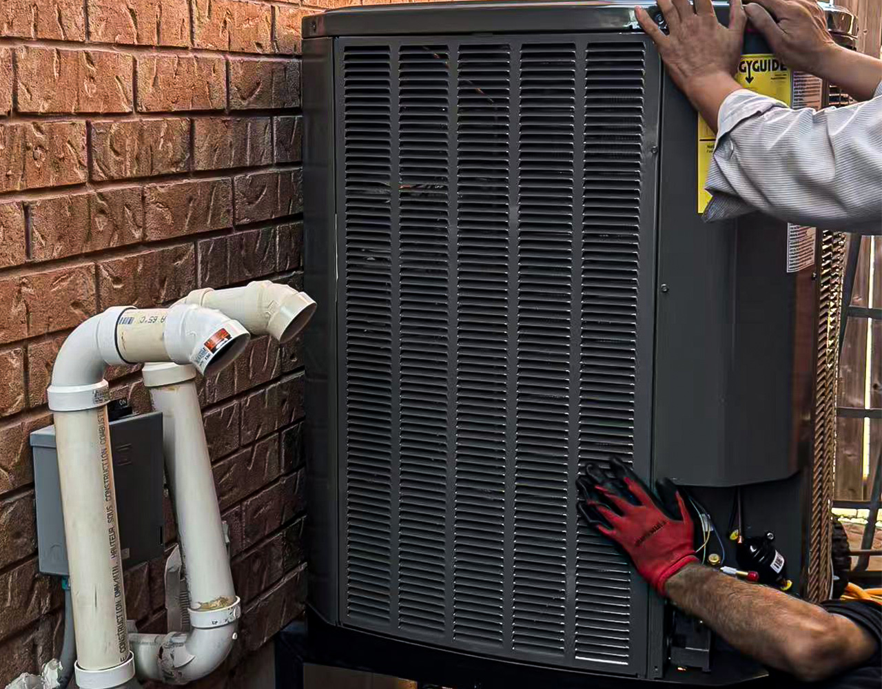 Consulting and diagnostics in action